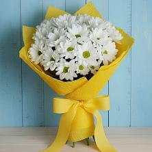 Букет цветов из:  Хризантемы в Бакале