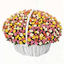 Премиум букет из: Розы в Бакале