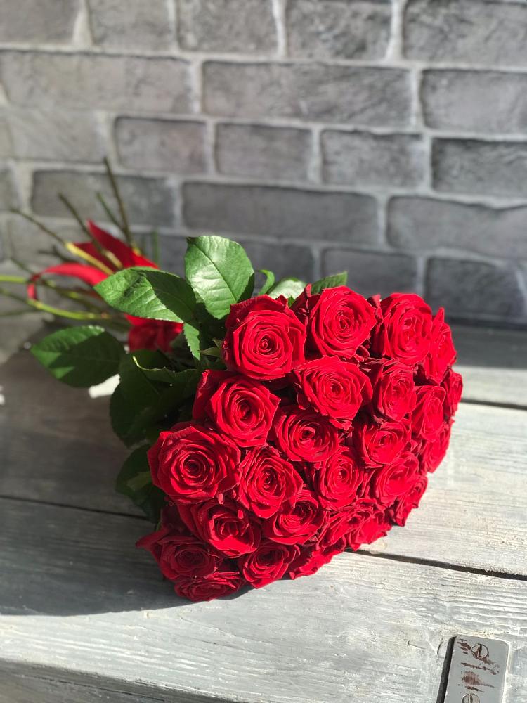 Букет Красные розы Фридом в Бакале