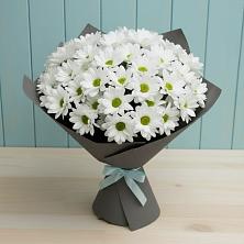 Букет цветов из:  Хризантемы в Бакале