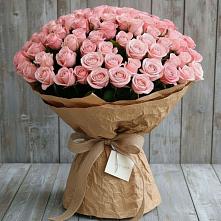 Букет 151 Роза Роуз в Бакале