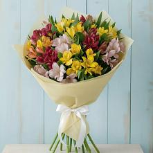 Букет цветов из:  Альстромерии #REPLACE_PRED# Бакале